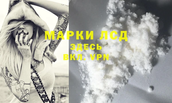 мяу мяу мука Богданович