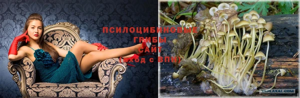 твердый Белоозёрский